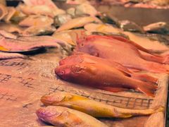 -下环街市熟食中心