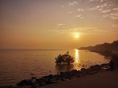 -深圳湾公园(南山区)