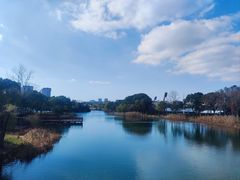 -新江湾城公园