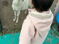 -菊园百果园