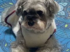 -维也纳国际机场