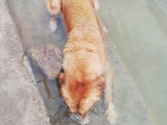 -仙海旅游度假区