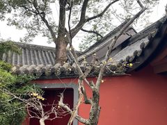 -成都武侯祠博物馆