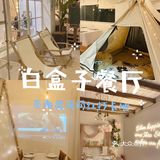 灵溪求婚生日派对圣诞节网红圣地