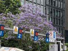 -米二红烧兔(华阳店)