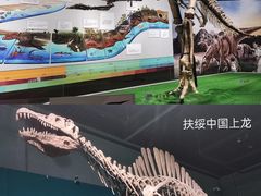 -浙江自然博物院(杭州馆)