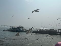 -星海广场
