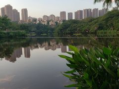 -重庆彩云湖湿地公园