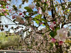 -元大都城垣遗址公园