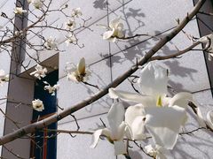 -中国中医科学院西苑医院(本部)