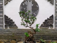 -宣和苑(华侨新村店)