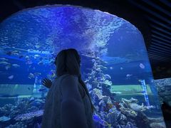 -左海海底世界