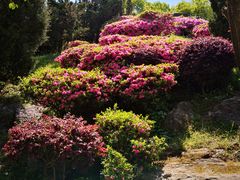 -天龙八部武侠城