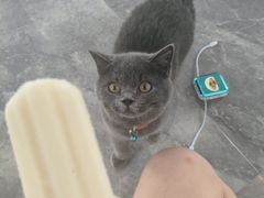 -诺德健游泳健身