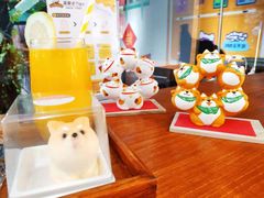 -柴犬高等学院·狗咖·柴犬售卖·宠物训练