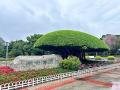 -南宁南湖公园