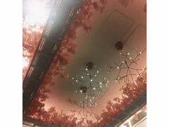 -豚王拉面(铜锣湾店 )