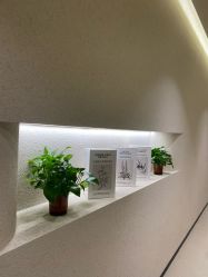 -美丽妈妈产后恢复中心(三林店)