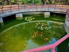 -石老人观光园