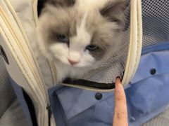 -宠颐生汉谟拉比宠物医院