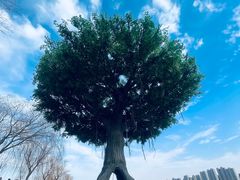-咸阳湖景区
