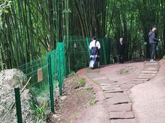 -平乐古镇