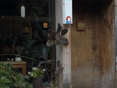 -知亘茶食