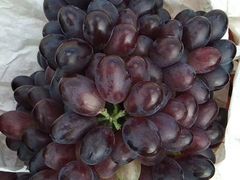 -百顺德海鲜自助(兴海名都广场店)