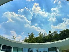 -云溪植物园