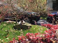 -张江润和国际总部园