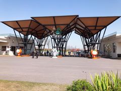 -上海长兴岛郊野公园