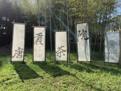 -大唐贡茶院