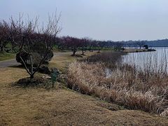 -上海海湾国家森林公园