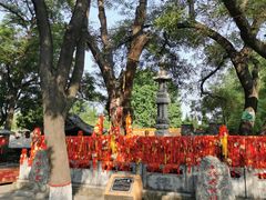 -大槐树寻根祭祖园
