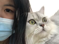 -Heymao猫咖.咖啡厅(东门店)