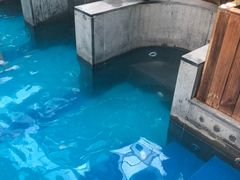 -固安来康郡来康温泉