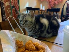 -李小姐の猫咖啡馆(五角场店)
