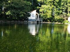 -上海共青森林公园