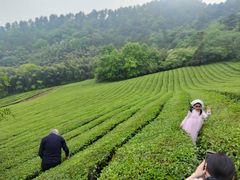 -敬亭山风景名胜区