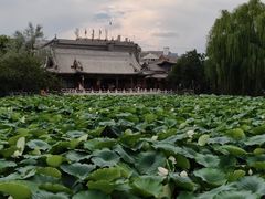 -莲池书院博物馆