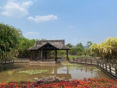 -中国科学院西双版纳热带植物园