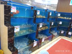 水产区-君港海鲜(三亚湾店)