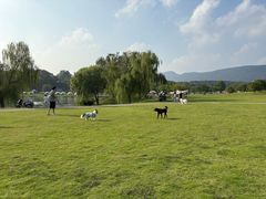 -钟山体育运动公园