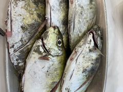 -蚝乡农庄(铁涌赤岸店)