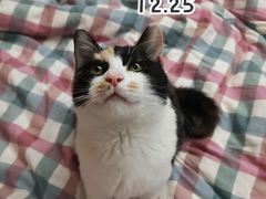 -美联众合动物医院·24h京西诊疗中心