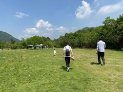 -千岛湖石林
