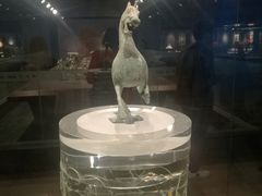 -甘肃省博物馆