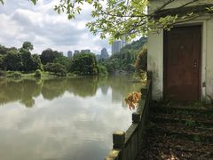 -张坝桂圆林公园