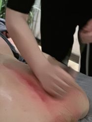 -阅年轻·AI家庭健康体质调理