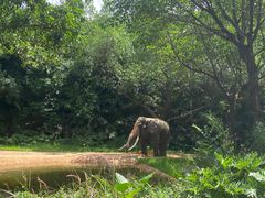 -石家庄市动物园
